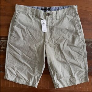 Banana Republic Brown/Tan Striped Flat Front Shorts! NWTS!  30